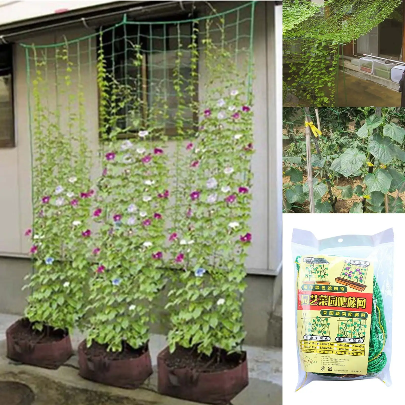 Fruit Morning Glory Vine Net Flower Climbing Vine Climbing Pergola Garden Net