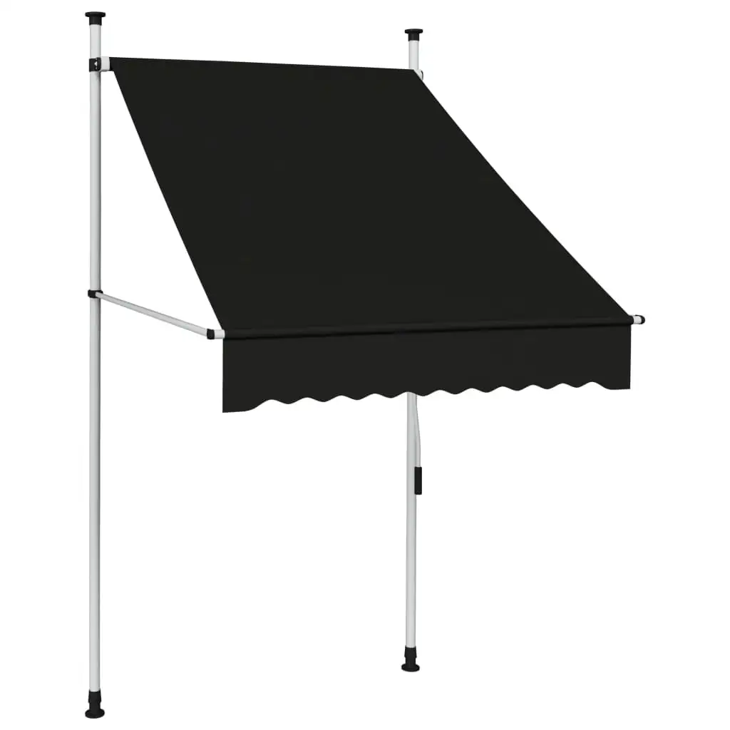 vidaXL Retractable Awning with Hand Crank Sunshade Shelter for Outdoor Patio